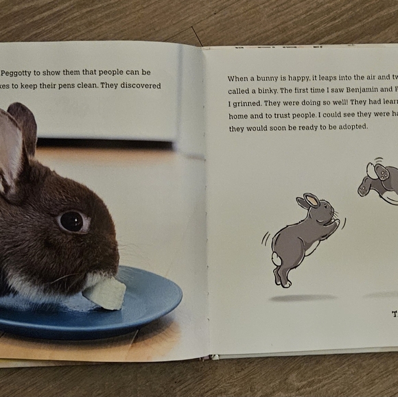 Children's Book Borrowing Bunnies - A surprising true tale of fostering rabbits. - Picture 3 of 5
